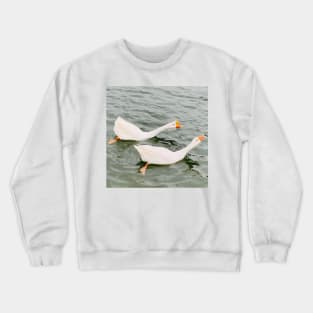 Duck Crewneck Sweatshirt